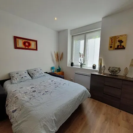 Savane Apartament Nancy