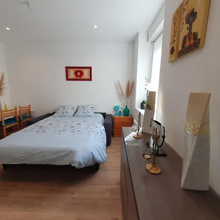 Savane Apartament Nancy