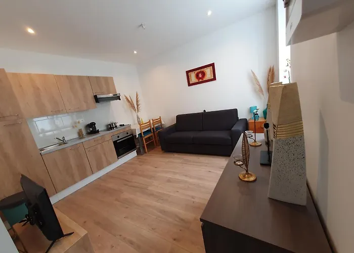 Savane Appartement Nancy