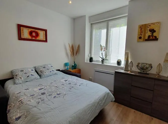 Savane Appartement Nancy