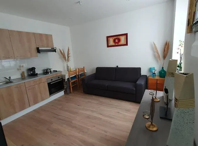 Appartement Savane Nancy