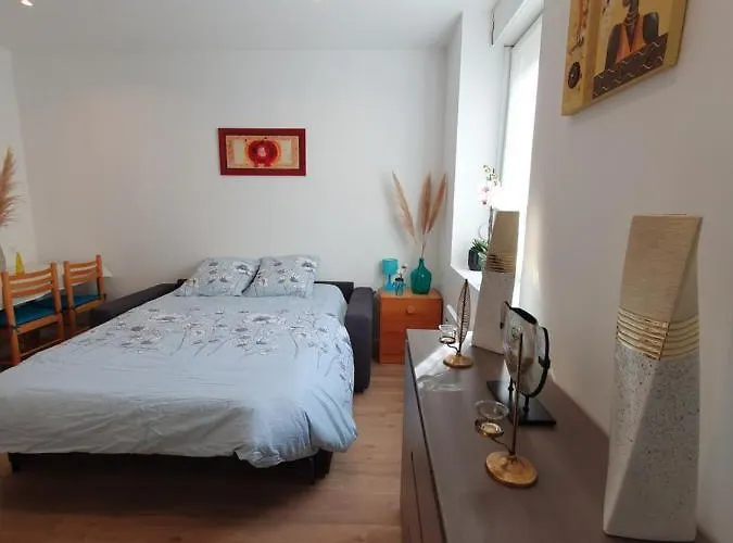 Savane Appartement Nancy